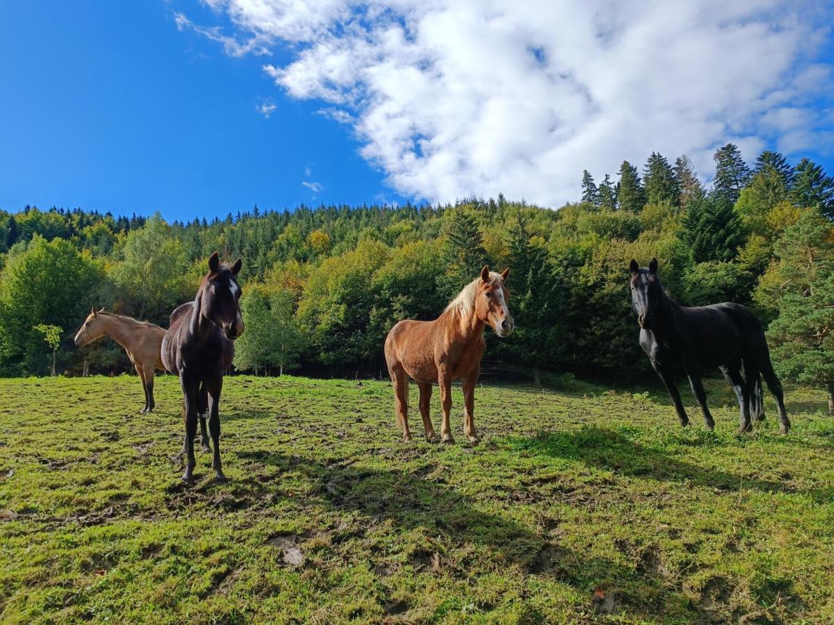 Jizdarna Malenovice Appartement Malenovice  Buitenkant foto