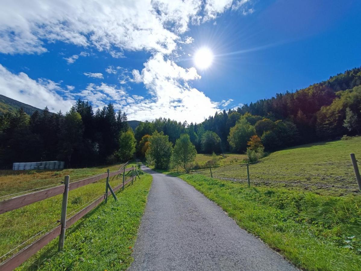Jizdarna Malenovice Appartement Malenovice  Buitenkant foto
