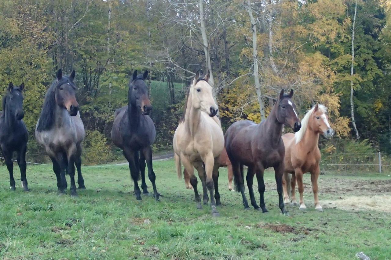 Jizdarna Malenovice Appartement Malenovice  Buitenkant foto